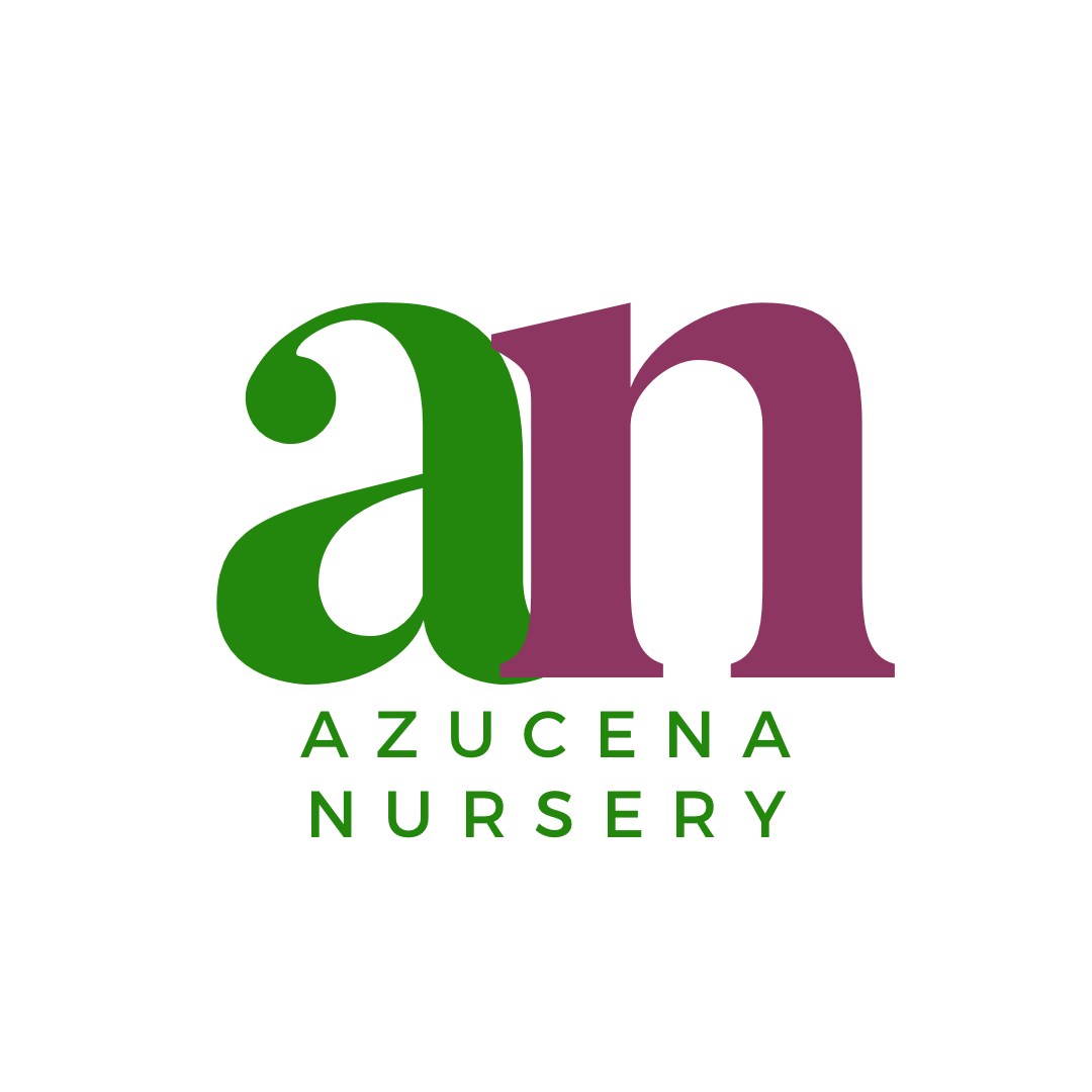 Azucena Nursery