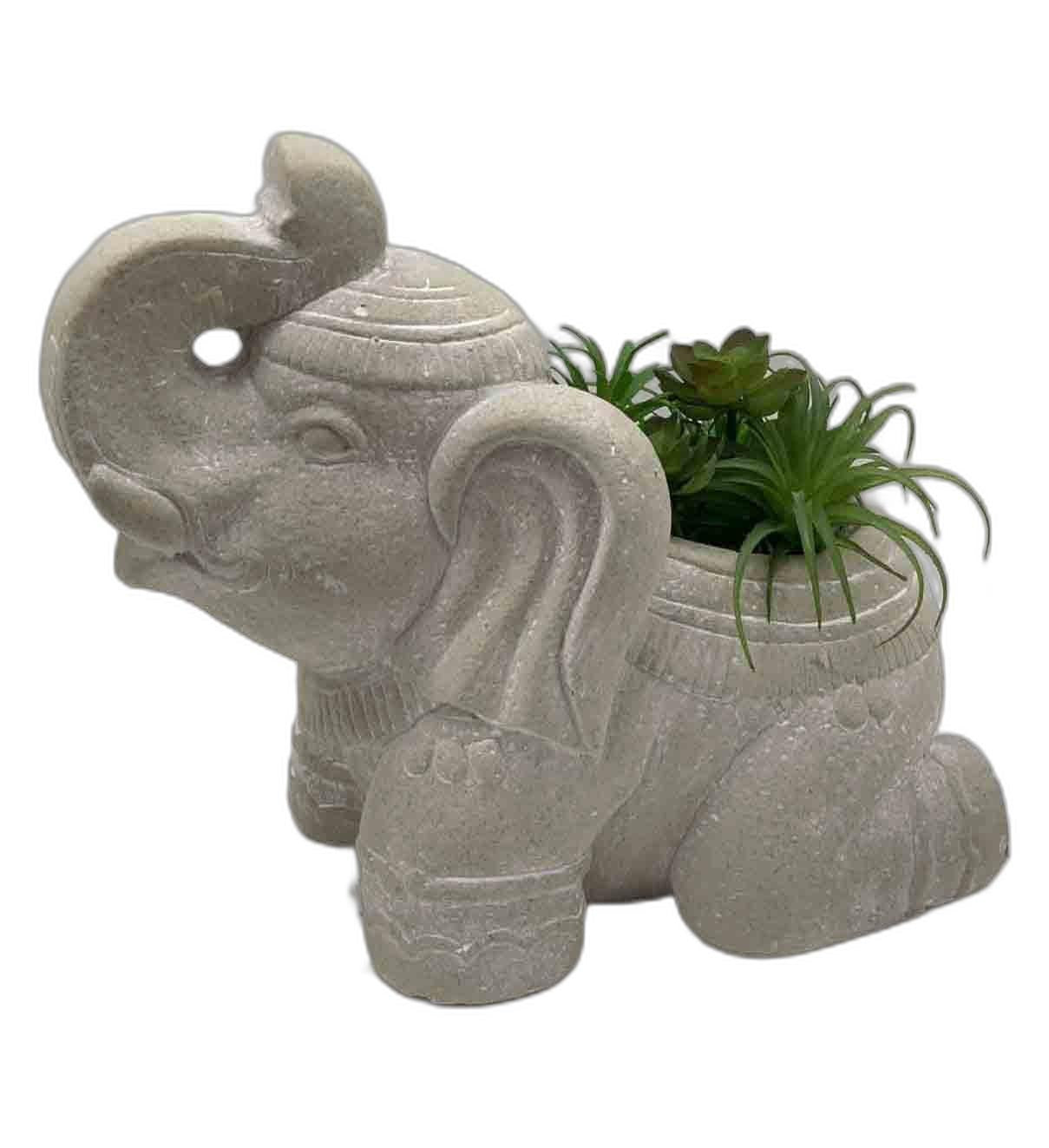 Cream Elephant with Succulents | Azucena Nursery