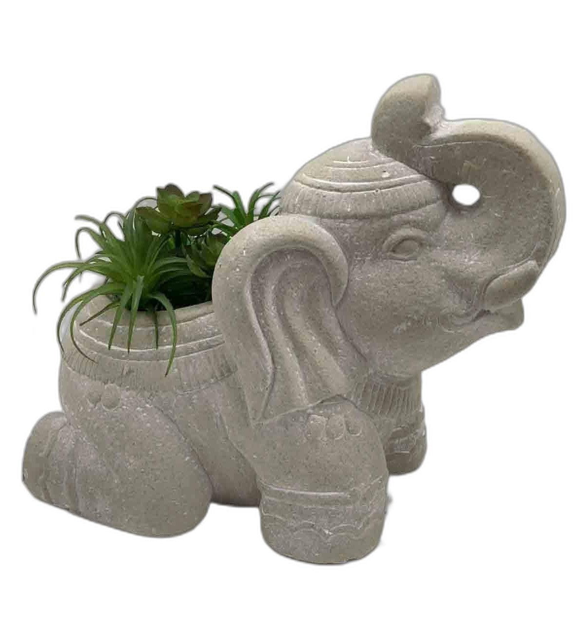 Cream Elephant with Succulents | Azucena Nursery