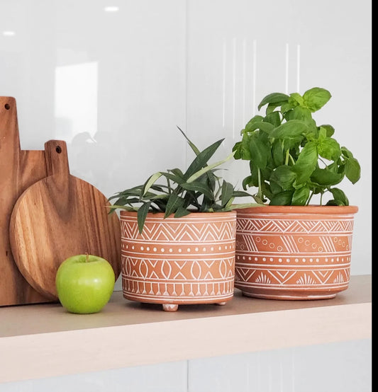 Hand Etched Terracotta Pot | Azucena Nursery