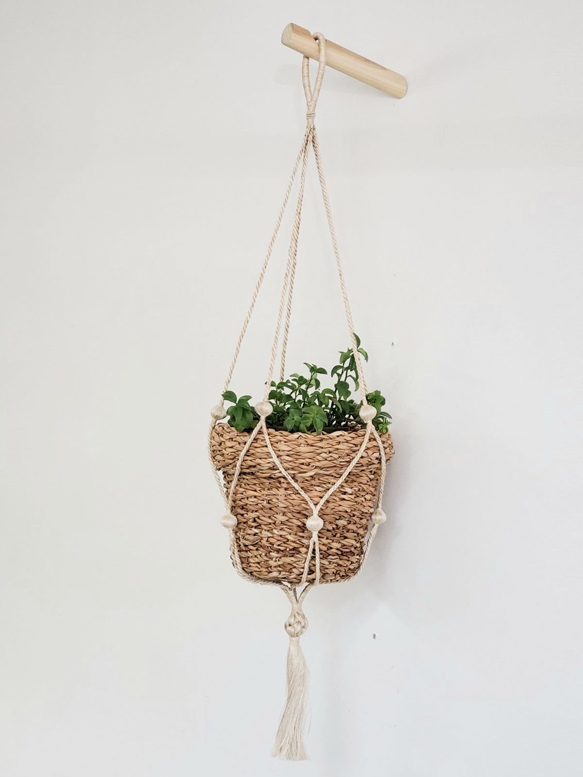 Savar Nesting Plant Basket-6
