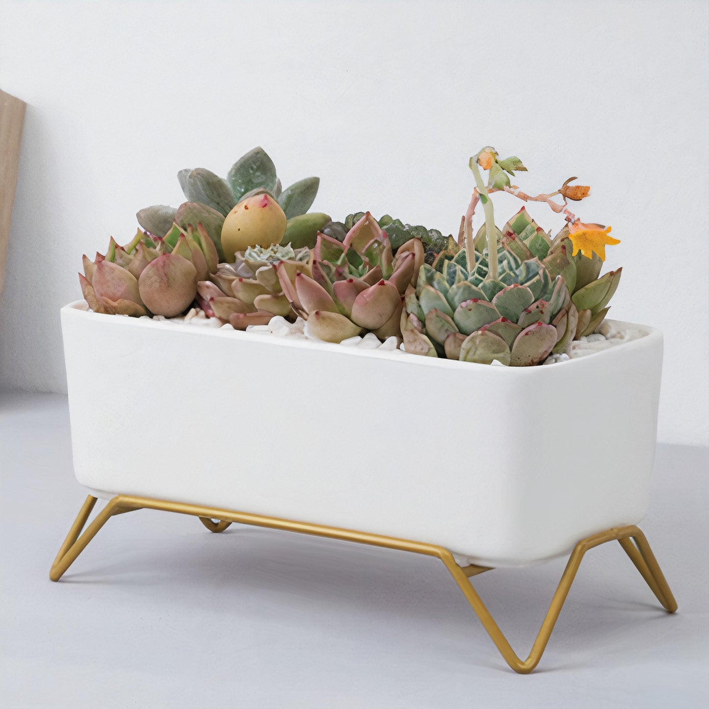 Succulent Planter-Supported-1