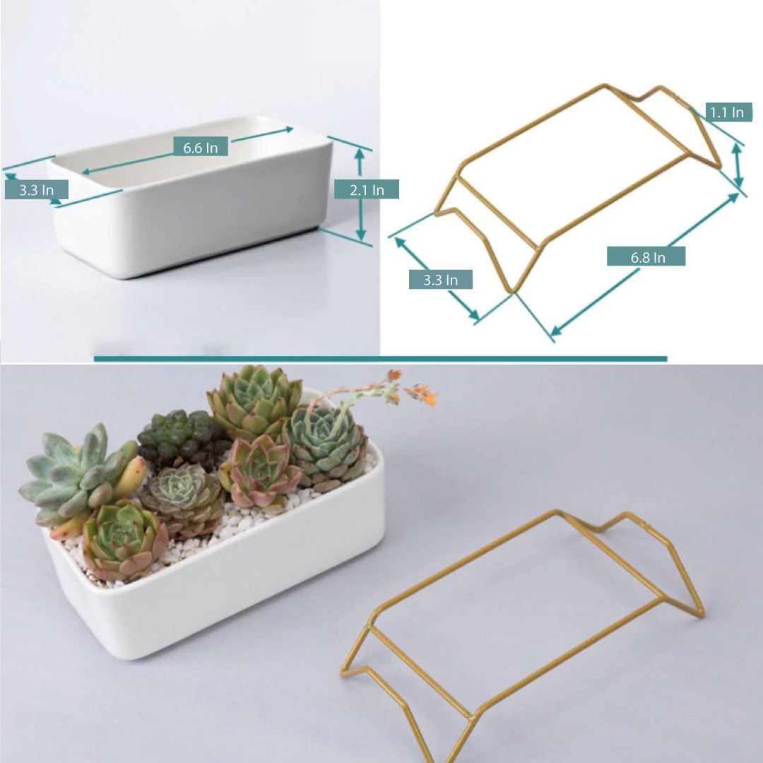Succulent Planter-Supported-3